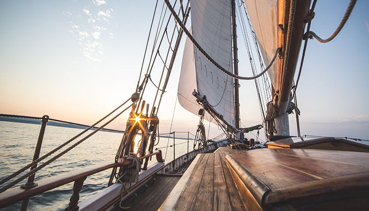 Charles Darwin & The Cape Verde Islands | Voyage | The Resort Group PLC
